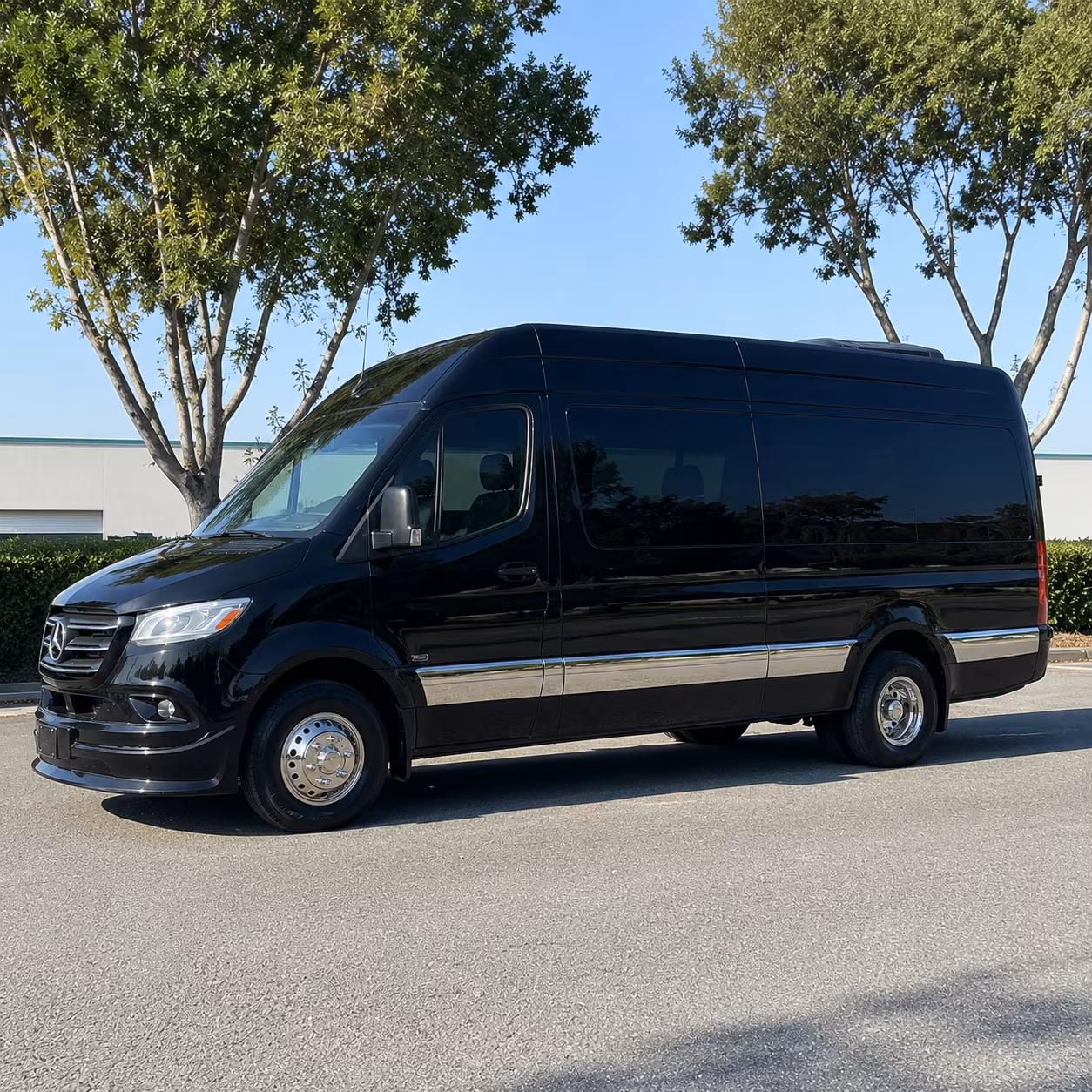 14 Passenger Sprinter Limo