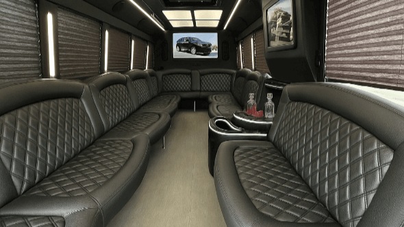 18 passenger party bus interior