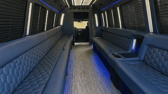50 passenger party bus interior